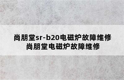 尚朋堂sr-b20电磁炉故障维修 尚朋堂电磁炉故障维修